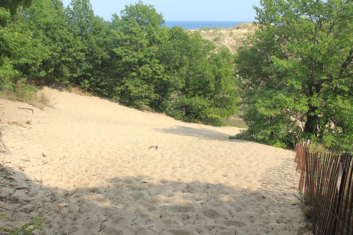 West Beach and Long Lake Trails 